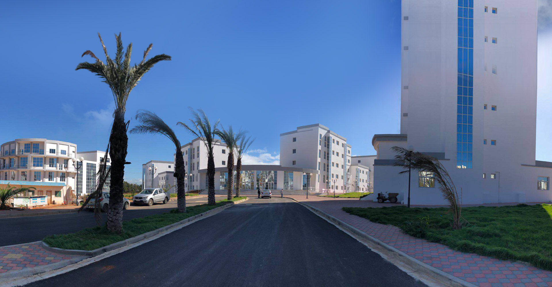 創更好的工程 · 樹品牌形象